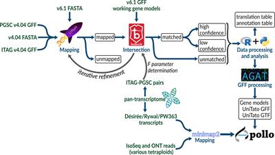 Evidence-based unification of potato gene models with the UniTato collaborative genome browser